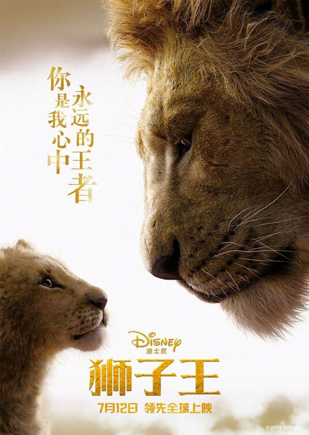 The Lion King On Moviebuff Com