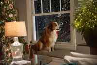 Love the Coopers Movie Photo gallery 2