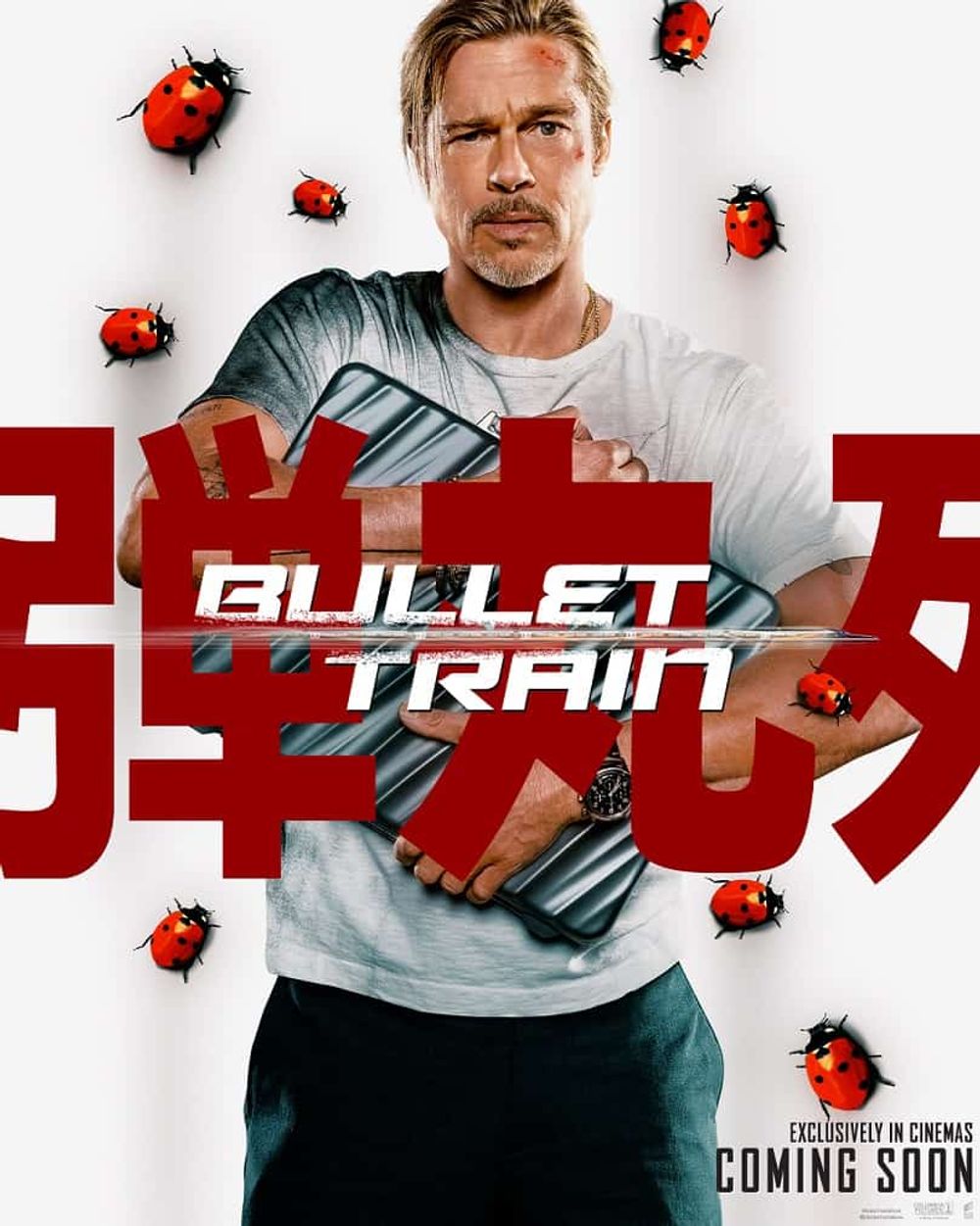 Bullet Train (Hindi)