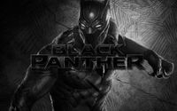 Black Panther Movie Photo gallery 29