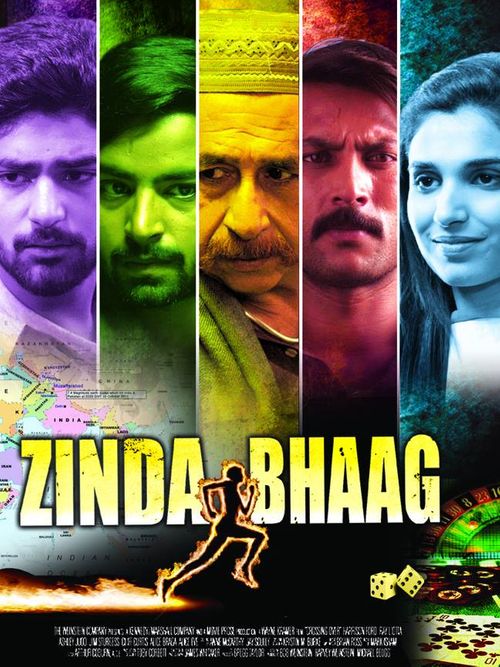 Zinda Bhaag 2013 Urdu 720p HDRip 800MB Download