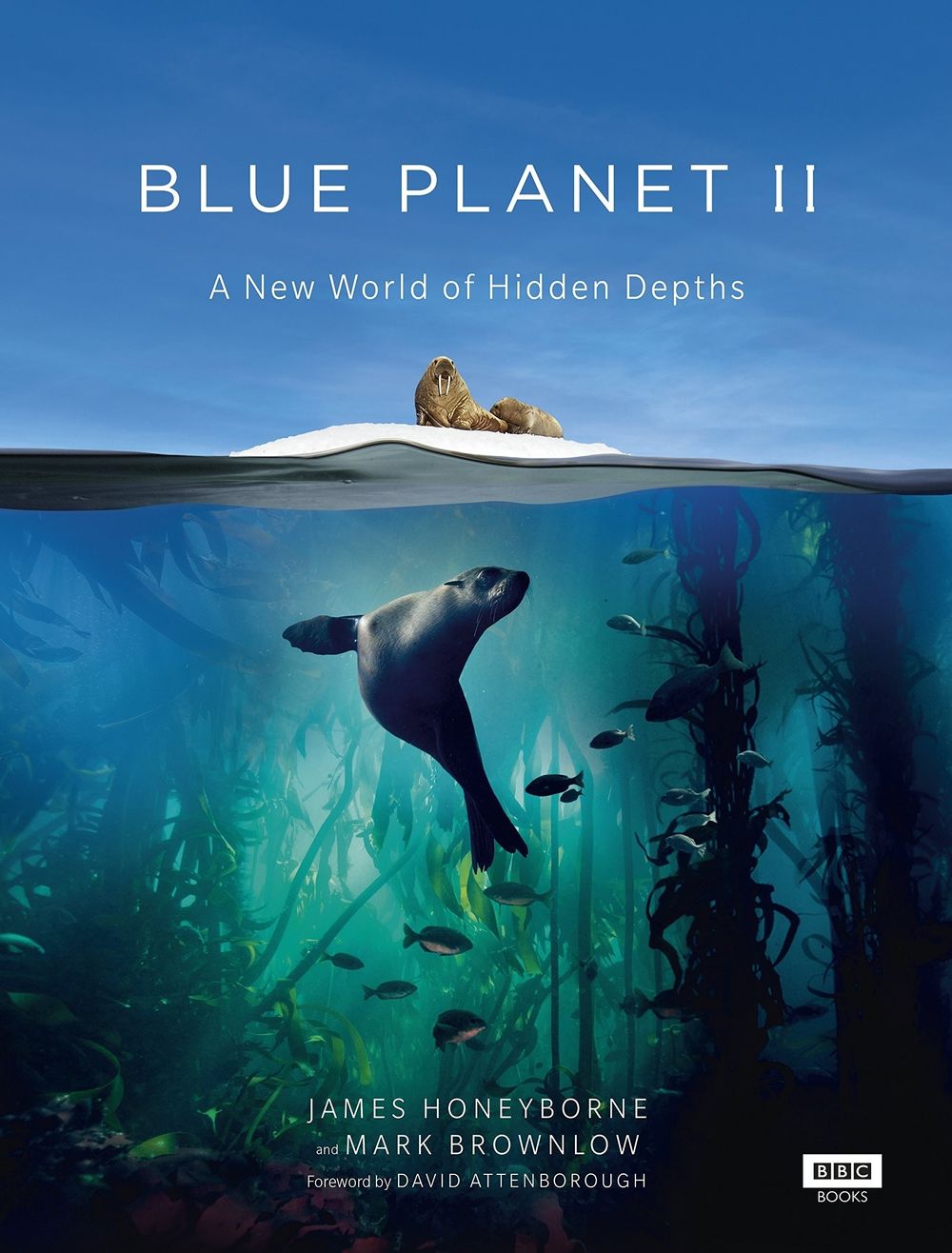 Blue Planet II: One Ocean And The Deep Photos